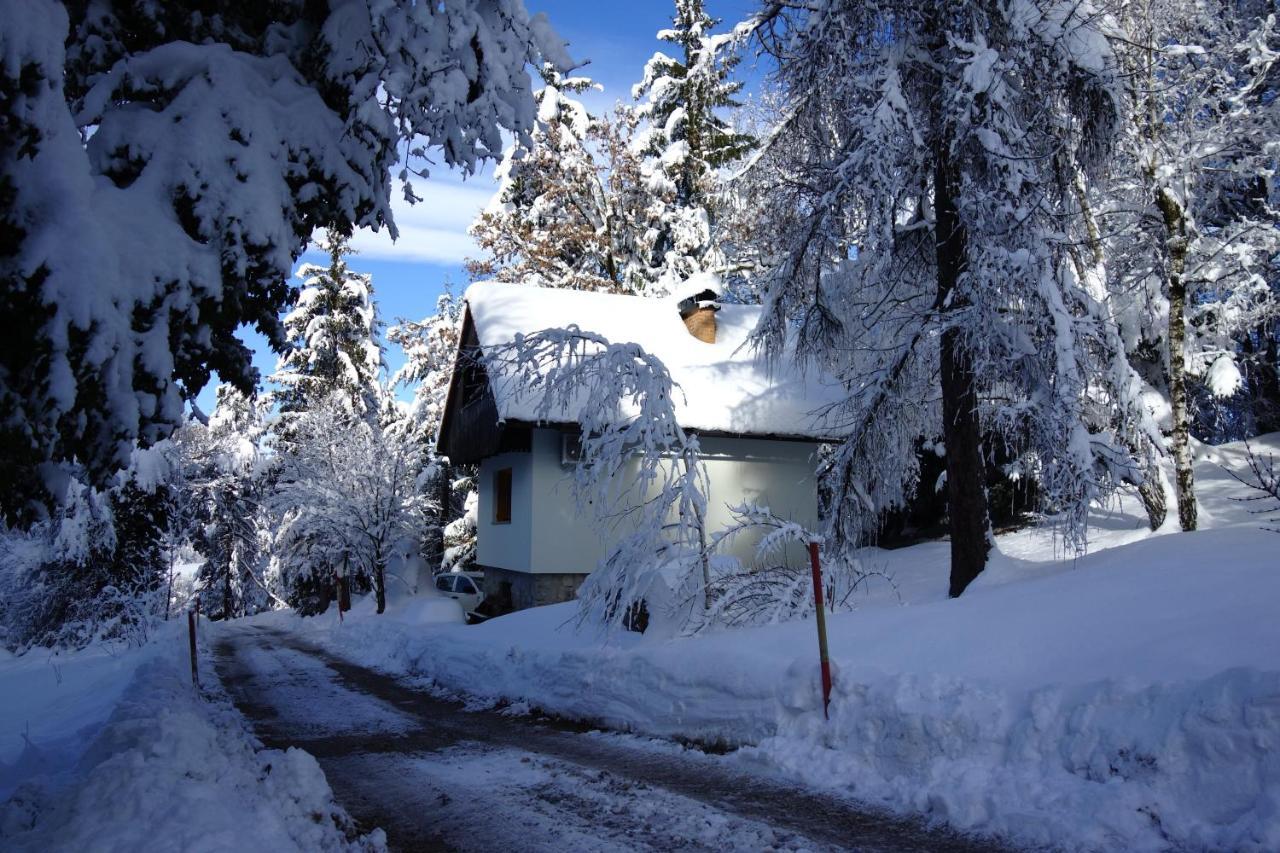 Willa Forest House Vrhnika Zewnętrze zdjęcie