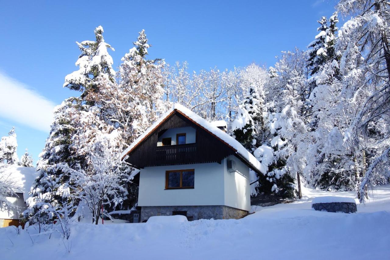 Willa Forest House Vrhnika Zewnętrze zdjęcie