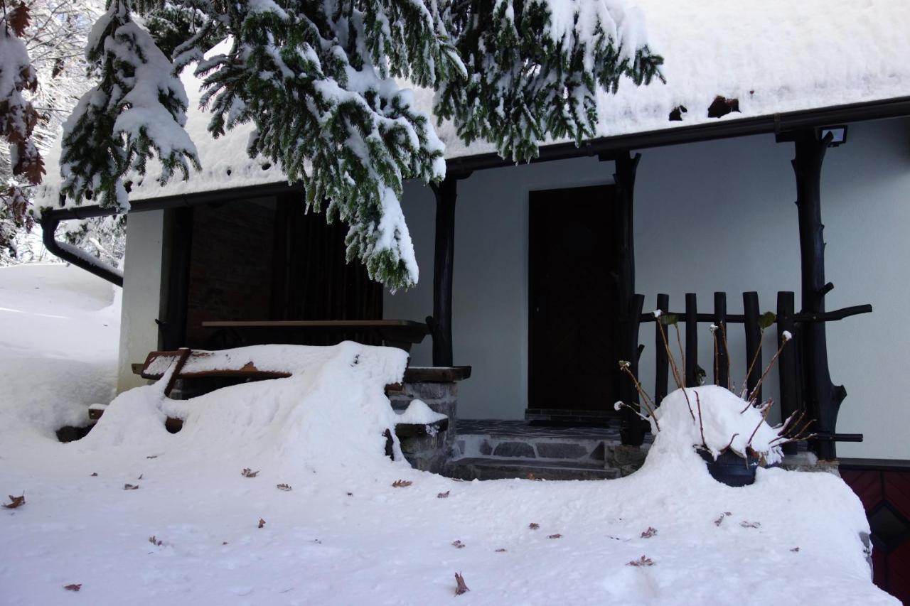 Willa Forest House Vrhnika Zewnętrze zdjęcie